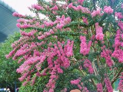 -杭州城北体育公园