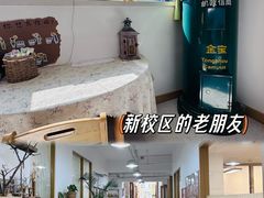 -金宝幼儿园(通州校区)