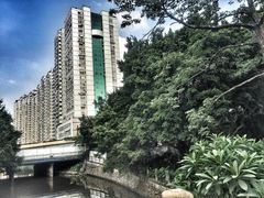 -晓港公园