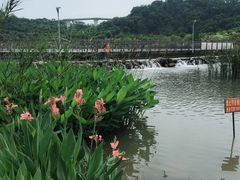 -飞凤山奥体公园
