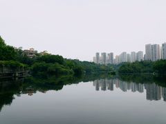 -重庆彩云湖湿地公园