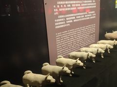 -汉景帝阳陵博物院