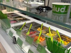 -Salud撒露欧洲冻酸奶(蓝色港湾店)