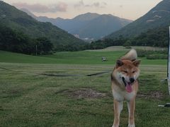 -博特宠物医院24h犬猫全科.骨科·异宠