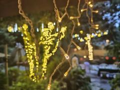 -谷咖啡·鲜花绿植花园餐厅