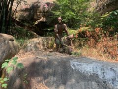 -铁山坪森林公园