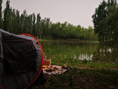 -东郊湿地公园