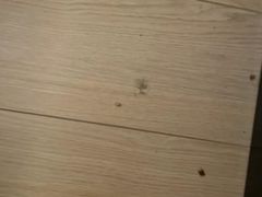 -东方之珠洗浴休闲广场(南开店)