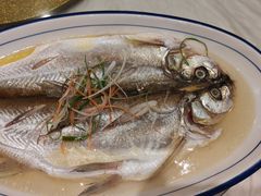 清蒸白水鱼-锡和无锡菜(景丽苑店)