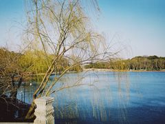 -苏堤停车场