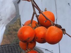 -丹山赤水风景名胜区
