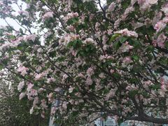 -济南国际园博园