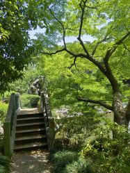 -丁香花园申粤轩·宴会厅