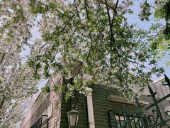 -天津五大道文化旅游区