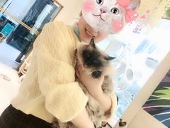 -喵喵咪呀布偶猫咖(春熙路店)