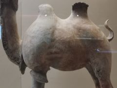 -敦煌市博物馆