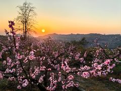 -观清澜疗愈民宿(龙泉山风景区店)