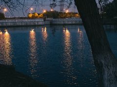 -漕湖湿地公园