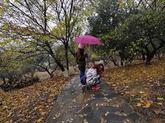 -白马涧龙池景区