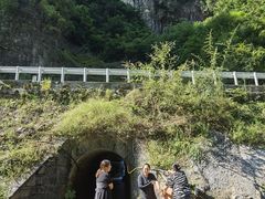 -重庆睡佛山森林公园