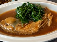 -沈灶河豚宴·河豚融合餐厅(汉中路店)