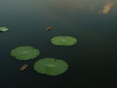 -海天湖公园