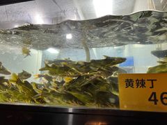 水产区-融泽漁悦三只耳鱼火锅(南郑大道店)