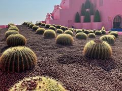 -漳州滨海火山岛自然生态风景区