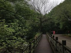 -宁波五龙潭景区