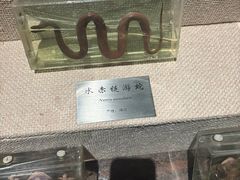 -湖州博物馆