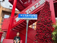 -WFC会仙楼观景台