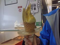 -野人先生现做冰淇淋(西安赛格店)