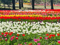 -国家植物园