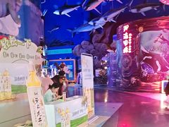 -烟台海昌鲸鲨海洋公园