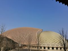 -牛首山文化旅游区