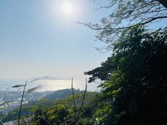 -小南山公园