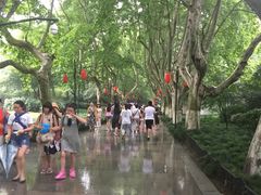 -杭州黄龙洞