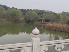 -金卉庄园