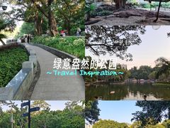 -晓港公园