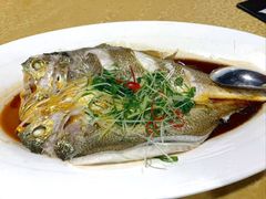 清蒸黄花鱼-202特色排档(五缘湾店)