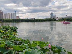 -莲花池公园