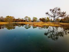 -北坞公园