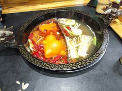 -渝大龙重庆火锅(温泉月亮湾店)