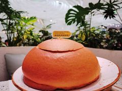-大树餐厅(朝阳大悦城店)