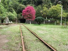 -遂昌金矿国家矿山公园