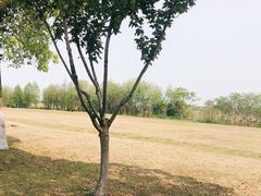 -漕湖湿地公园