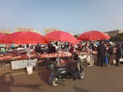 -雪绒花路停车场