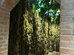 -新疆国际大巴扎