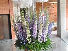 -浅深Cheersum(曹杨店)