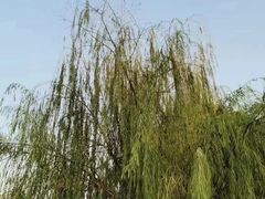 -Hugo Boss(百联奥特莱斯店)